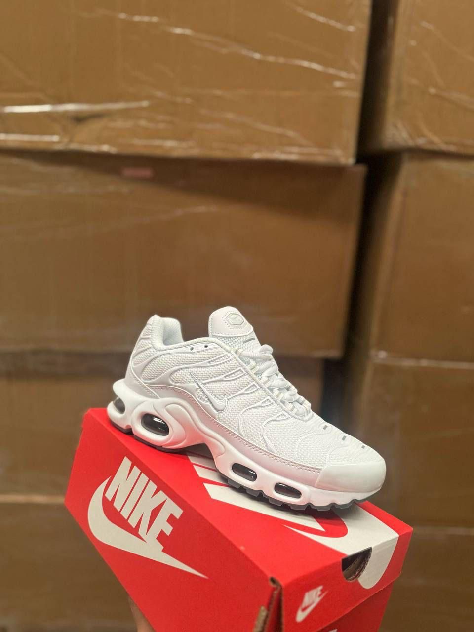 Tn blanca
